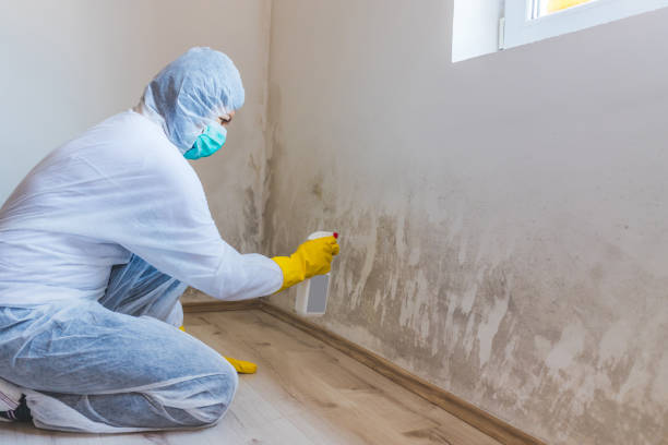 Bathroom Mold Removal assessment in Hampstead bathroom
