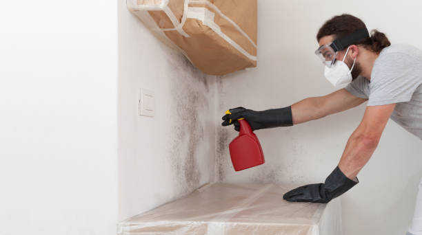 Attic Mold Remediation treatment on roof deck in Hampstead